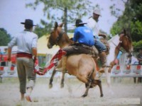 /album/galeria-de-fotos/pedro-henrique-085-jpg/